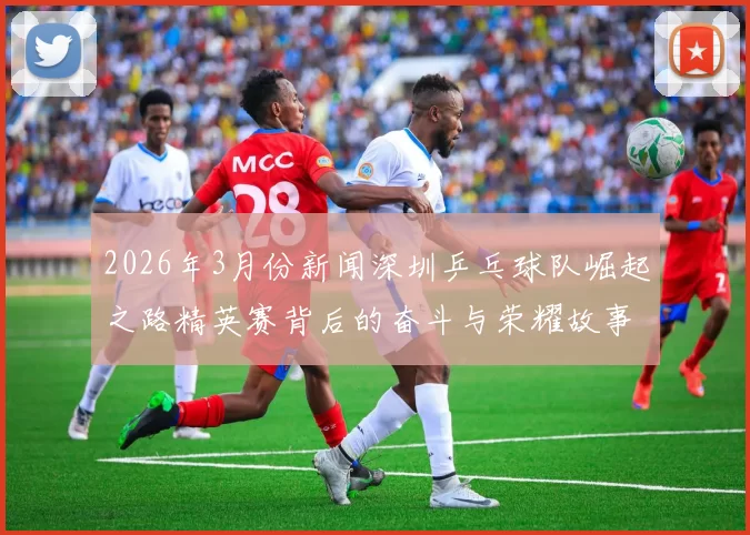 2026年3月份新闻深圳乒乓球队崛起之路精英赛背后的奋斗与荣耀故事