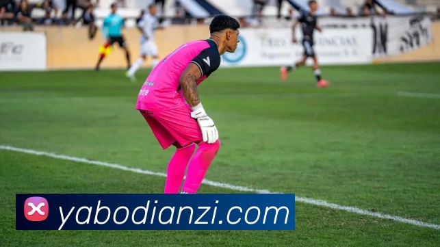 亚博电子发展历程